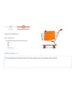 Magento 2 Order Checkout Comments